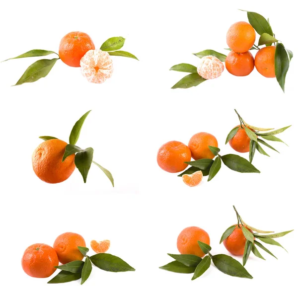 Čerstvé Mandarinky Izolovaných Bílém Pozadí Pomeranče Jsou Uspořádány Řádcích Umístěna — Stock fotografie