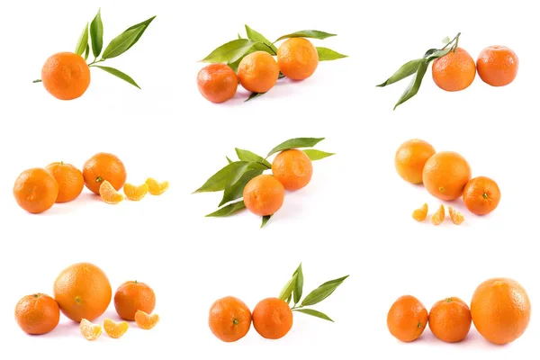 Frische Mandarinen Isoliert Auf Weißem Hintergrund Orangen Sind Reihen Angeordnet — Stockfoto