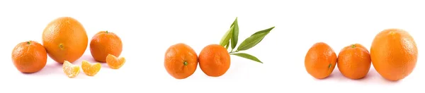 Friss Mandarin Elszigetelt Fehér Background Narancs Sorokba Rendeződnek Elhelyezett Fehér — Stock Fotó