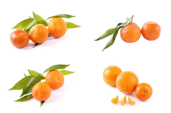 Frische Mandarinen Isoliert Auf Weißem Hintergrund Orangen Sind Reihen Angeordnet — Stockfoto