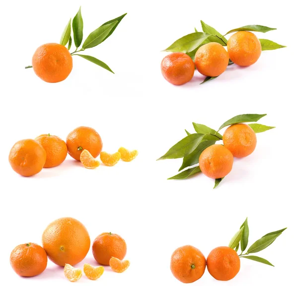 Fresh mandarins isolated on white background. Oranges are arranged in rows. Placed on a white background.