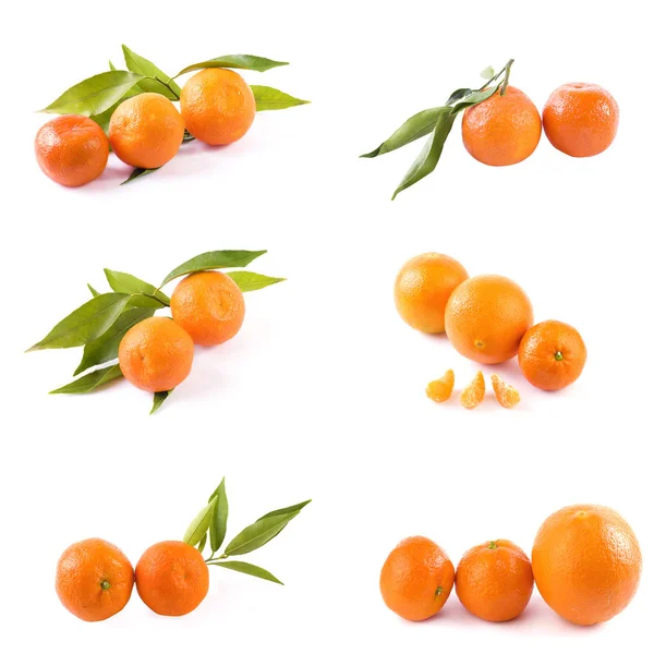 Fresh mandarins isolated on white background. Oranges are arranged in rows. Placed on a white background.