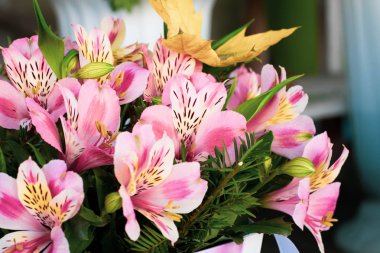 Renkli Alstroemeria çiçekler. Büyük bir buket çiçek dükkanında çok renkli alstroemerias bir hediye kutusu şeklinde satılmaktadır. 