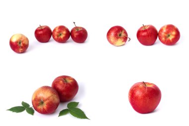 Beyaz arka planda kırmızı elma seti. Beyaz bir arka planda sarı lekeler ile kırmızı renk sulu elma. Sulu kırmızı elma bileşimi