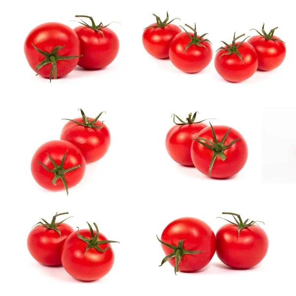 Röda Tomater Vit Botten Grupp Tomater Med Örter Vit Bakgrund — Stockfoto