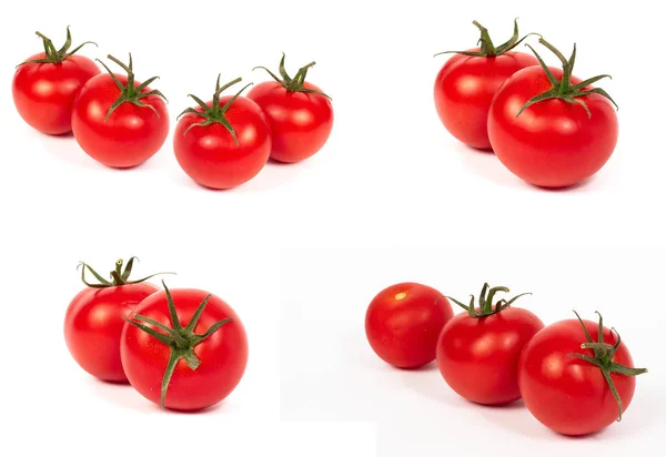 Rote Tomaten Auf Weißem Hintergrund Eine Gruppe Tomaten Mit Kräutern — Stockfoto