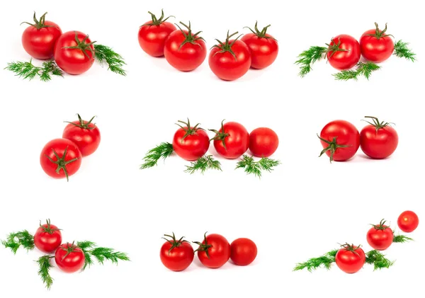 Czerwone Pomidory Białym Tle Grupa Pomidorów Ziołami Białym Tle — Zdjęcie stockowe