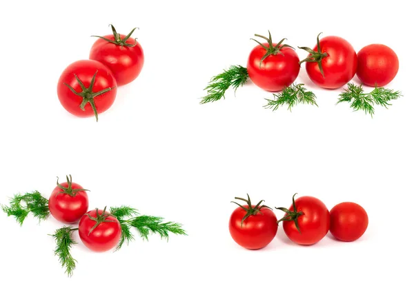 Rote Tomaten Auf Weißem Hintergrund Eine Gruppe Tomaten Mit Kräutern — Stockfoto