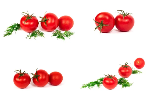 Red tomatoes on a white background. A group of tomatoes with herbs on a white background.