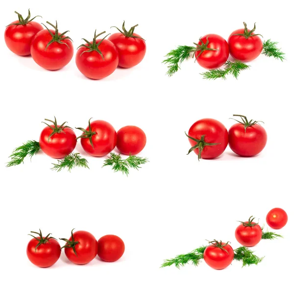 Tomates Rouges Sur Fond Blanc Groupe Tomates Aux Herbes Sur — Photo