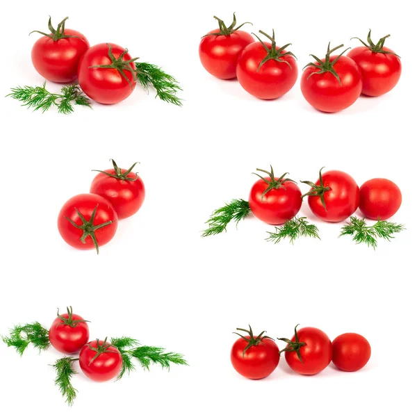 Rote Tomaten Auf Weißem Hintergrund Eine Gruppe Tomaten Mit Kräutern — Stockfoto