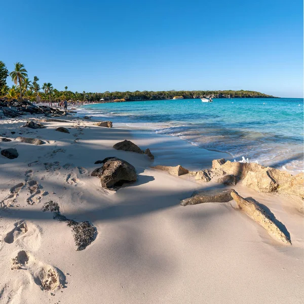 Catalina szigete-Playa de La Isla Catalina-karibi trópusi Jogdíjmentes Stock Fotók