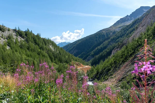 View Val Veny Courmayeur Valle Aosta Italy — Stock Photo, Image