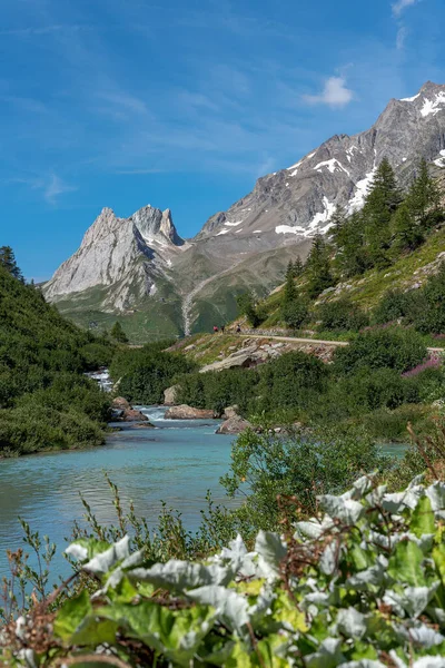 View Val Veny Courmayeur Valle Aosta Italy — Stock Photo, Image