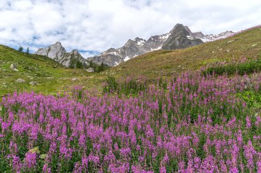 Val Veny - Courmayeur - Valle d 'Aosta - İtalya