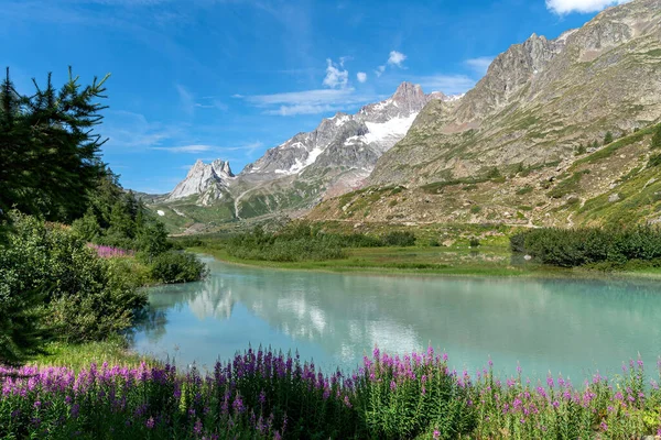 View Val Veny Courmayeur Valle Aosta Italy — Stock Photo, Image