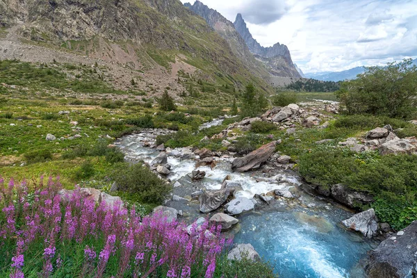 View Pink Flowers Val Veny Courmayeur Valle Aosta Italy — Stock Photo, Image