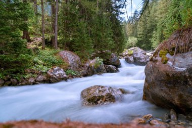 Dora - Val Veny - Courmayeur - Valle d 'Aosta - İtalya