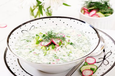 Soğuk çorba ile taze salatalık, turp kase yoğurt ile closeup.