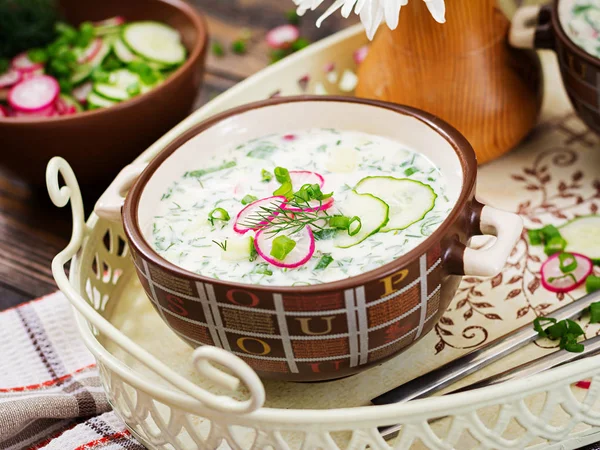 Vista Próxima Deliciosa Sopa Okroshka — Fotografia de Stock