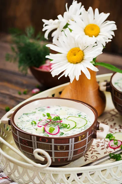 Composição Comida Bandeja Branca Com Tigelas Sopa Okroshka Vaso Com — Fotografia de Stock