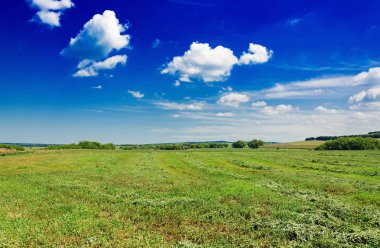 Yeşil alan ve mavi gökyüzü güzel doğa arka plan