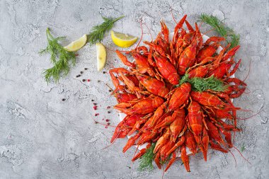 Dereotu ile haşlanmış kerevit. Üstten görünüm. Düz yatıyordu. Kopya alanı