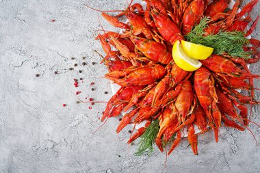 Kerevit. Rustik tarzı, closeup masada kırmızı haşlanmış crawfishes. Istakoz portre. Sınır desig. Üstten görünüm