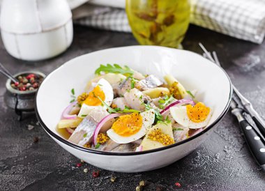 Geleneksel salata tuzlu ringa balığı filetosu, taze elma, kırmızı soğan ve yumurta. Kaşer gıda. İskandinav Mutfağı.