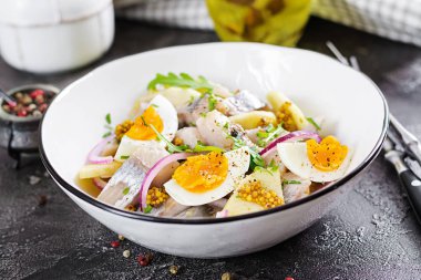 Geleneksel salata tuzlu ringa balığı filetosu, taze elma, kırmızı soğan ve yumurta. Kaşer gıda. İskandinav Mutfağı.