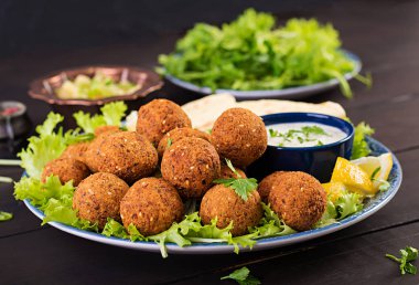 Falafel, humus ve pide. Karanlık bir arka plan üzerinde Orta Doğu ya da Arap yemekleri. Helal Gıda.