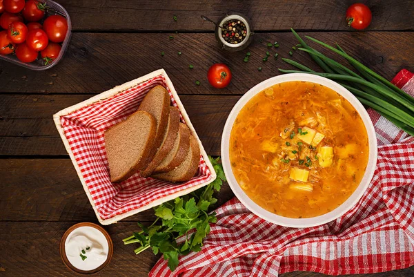 Традиционный русский суп с капустой - квашеной капустой - щи . — стоковое фото