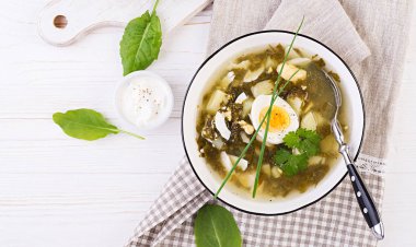 Beyaz kasede yeşil sorrel çorbası. Düz yatıyordu. Üstte görüntü