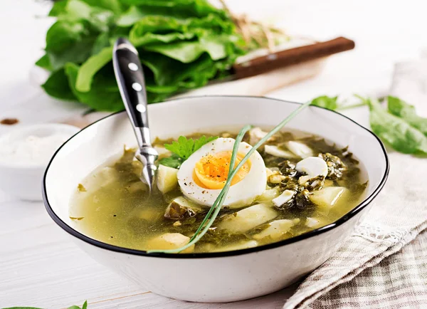 Groene Soep Van Zuring Witte Kom — Stockfoto