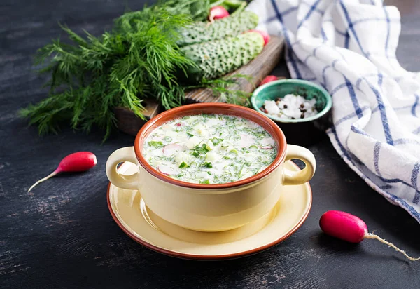 Окушка Холодный Летний Суп Йогуртом Овощами Миске — стоковое фото