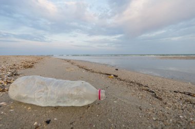 Plastik şişe sahilde