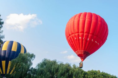 Balonlar ağaçların üzerinden uçmak