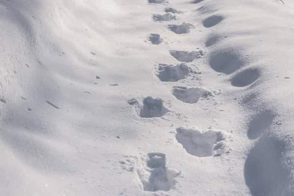 Verschneiter Fußweg Mit Spuren — Stockfoto