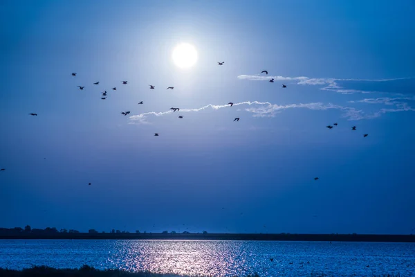 Gökyüzüne karşı Kuşlar uçar