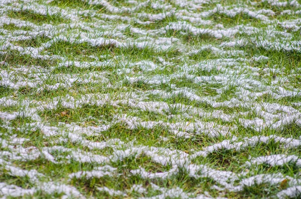 白い雪にある緑の草 — ストック写真