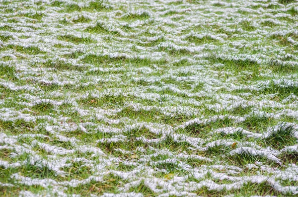 Weißer Schnee Auf Dem Grünen Gras — Stockfoto