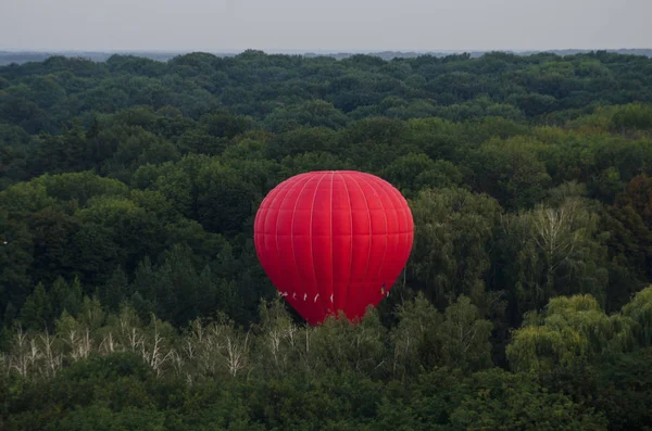 Ağaçların üzerinden balon çıkartıyor