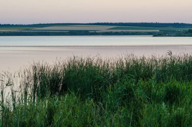 Bir su birikintisi ve arka plan alanları ile manzara