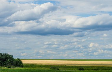 Tarım alanları üzerinde yaz gökyüzü
