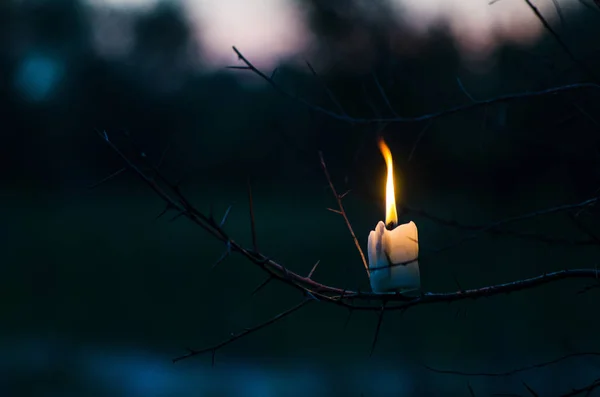 在树枝上点燃蜡烛 — 图库照片