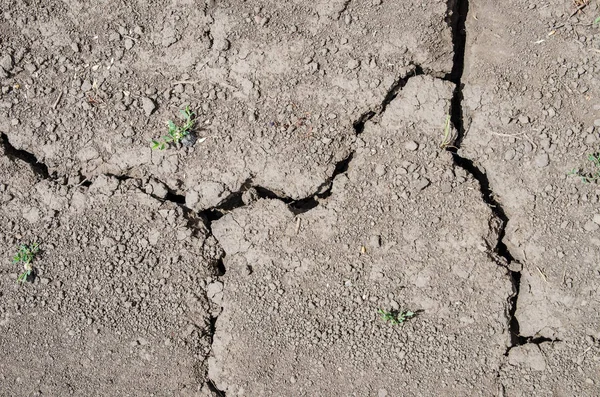 Kuraklık sahada yere çatlaklar