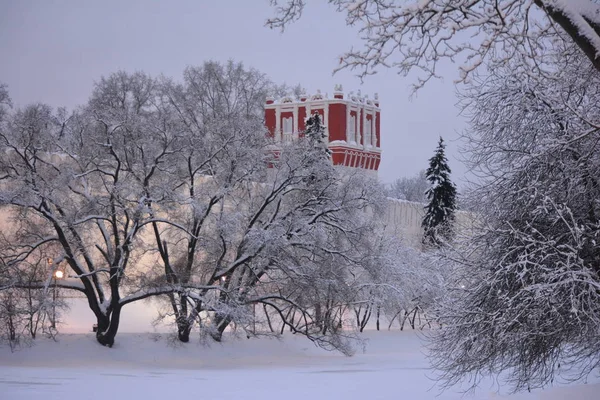 Novodevichy Convent Winter — Stock Photo, Image