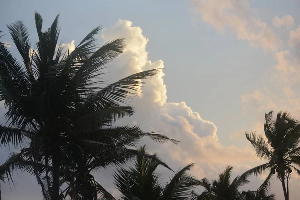 Pôr Sol Praia Mirissa Imagem De Stock