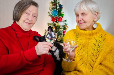 two old grandmothers in new year midnight clinking glasses. both  granny take glass with alcohol in adult hand. friends, sisters together drink champagne wine. elderly women at christmas tree clipart