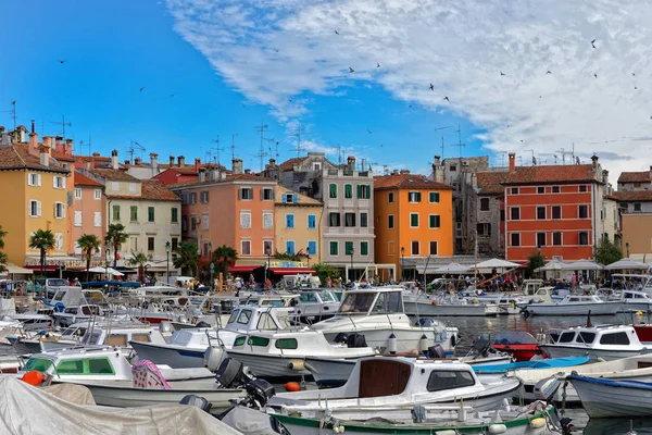 Uma Cidade Mediterrânea Rovinj Croácia Porto Cheio Barcos Dia Verão — Fotografia de Stock